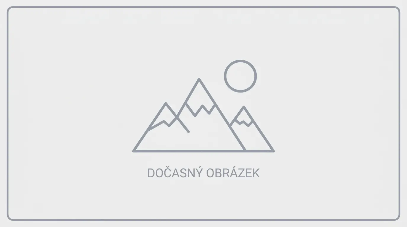 Před ošetřením